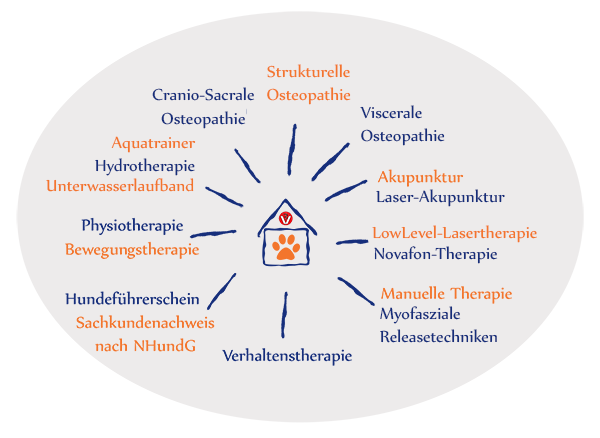 Symbolgrafik mit Übersicht der Leistungen für Hunde bei OsteoVet Marschall