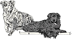 Hunde OsteoVet Marschall - Hundeosteopathie – sanfte Behandlungen zur Förderung von Beweglichkeit, Rehabilitation und Lebensqualität bei Hunden
