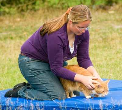 Dr. Marschall behandelt eine Katze mit osteopathischen Handgriffen