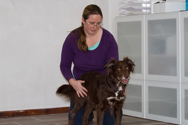 Dr. Marschall führt isometrische Übungen mit einem Hund durch