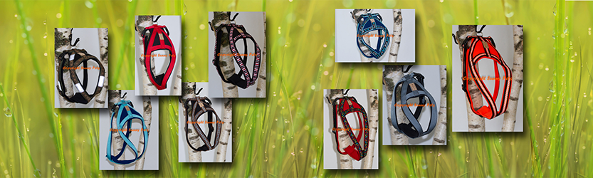 Foto von Hundegeschirren aus dem Sortiment von Sunny Pets