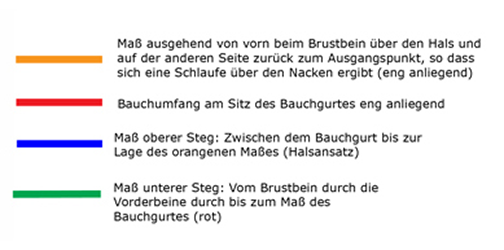 Grafik mit Schritt-für-Schritt-Messanleitung für Hundegeschirre