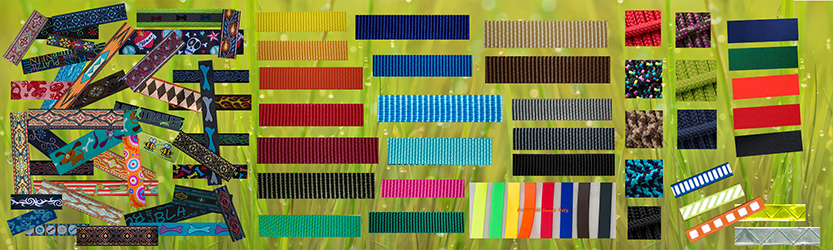 Farbauswahl von Hundegeschirren, Hundeleinen und Hundehalsbändern