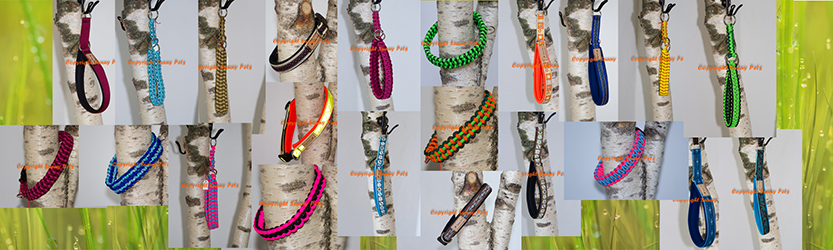 Foto von Hundehalsbändern aus dem Sortiment von Sunny Pets