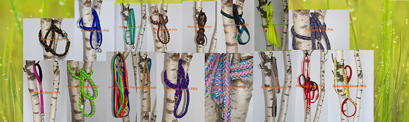 Foto von Hundeleinen aus dem Sortiment von Sunny Pets